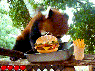 a bear is eating a hamburger and french fries in a frying pan