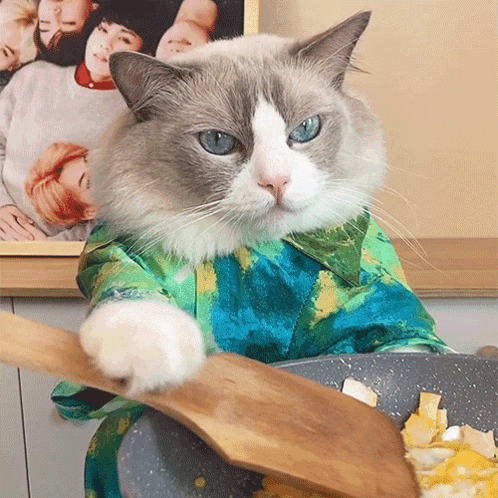 Cooking Puff GIF - Cooking Puff Meow Chef GIFs