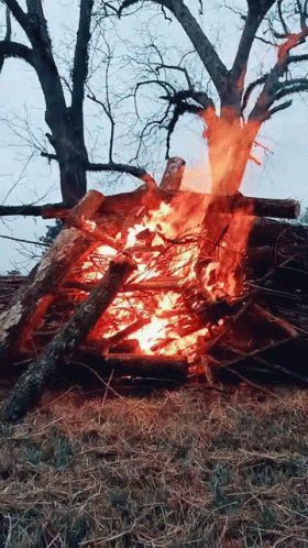 Fire GIF - Fire GIFs