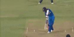 Miss You Cricket GIF - Miss You Cricket Hit GIFs