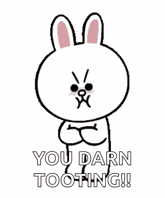 a cartoon bunny says `` you darn tooting '' while standing on a white background .