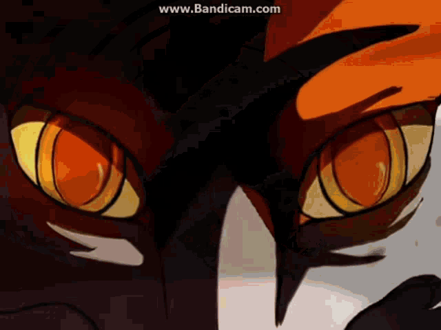 a close up of a cartoon character 's eyes with the website www.bandicam.com in the lower right corner