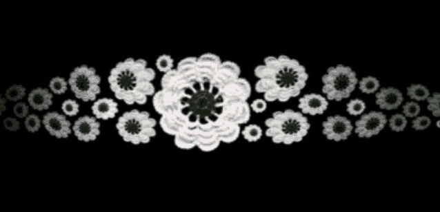 a bunch of white flowers with green centers on a black background