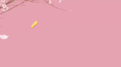 a pink background with yellow letters that say xo kitty