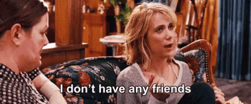 I Don'T Have Any Friends GIF - Bridesmaids Kristenwiig Donthavefriends GIFs