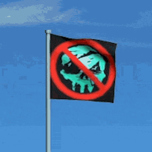 a black flag with a skull in a red circle