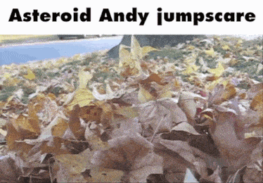a bunch of leaves with the words asteroid andy jumpscare on top