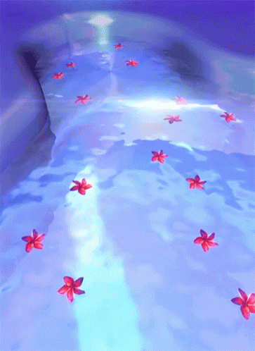 Flower Bath Bath Tub GIF - Flower Bath Bath Tub Animation GIFs