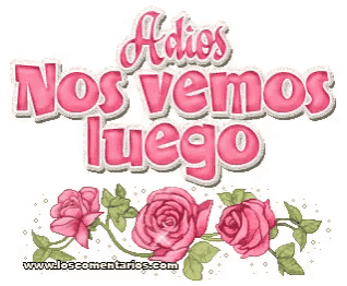 a sign that says " adios nos vemos luego " with pink roses in the background