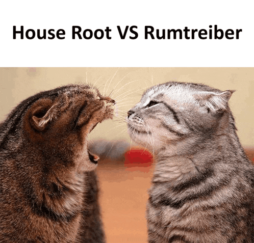 two cats are looking at each other with the words house root vs rumtreiber below them