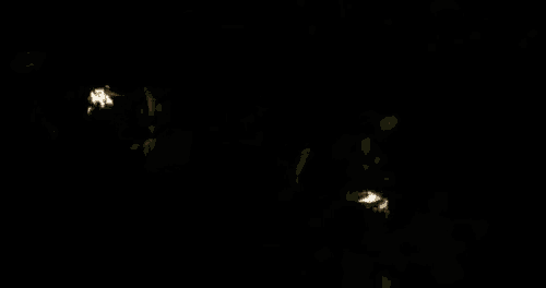 a group of people are holding torches in a dark forest .