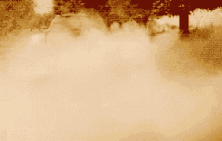 a car is driving through a foggy forest