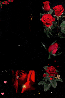 a picture of a woman surrounded by red roses with the caption capt elvin