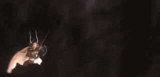 a cartoon character is flying through the air in a space ship in a video game .