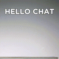 Moth Hello GIF - Moth Hello Hello Chat GIFs
