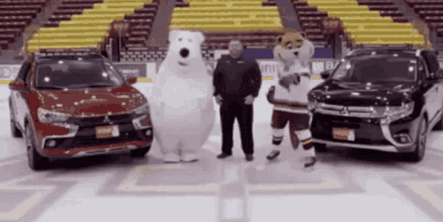 a man in a polar bear costume stands between two cars and a mascot