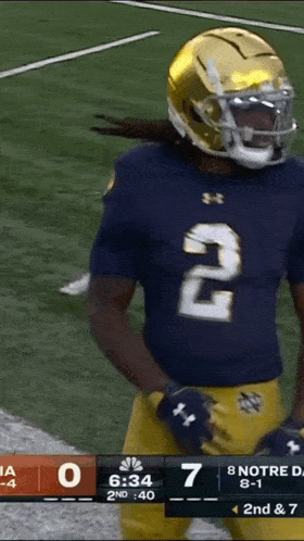 a football player with the number 20 on his jersey is standing on the field