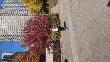a man is standing in front of a tree with red leaves and a tall building in the background