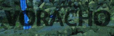 the word voracho is written on a rocky surface