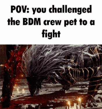 a meme that says " pov : you challenged the bdm crew pet to a fight " with a picture of a monster