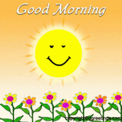 Good Morning Sun GIF - Good Morning Sun Flowers GIFs