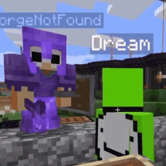 a purple and a green minecraft character are standing next to each other .