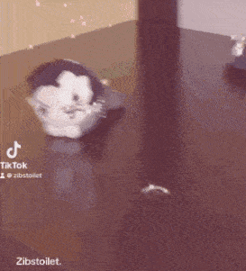 a stuffed animal is laying on a table next to a ring .