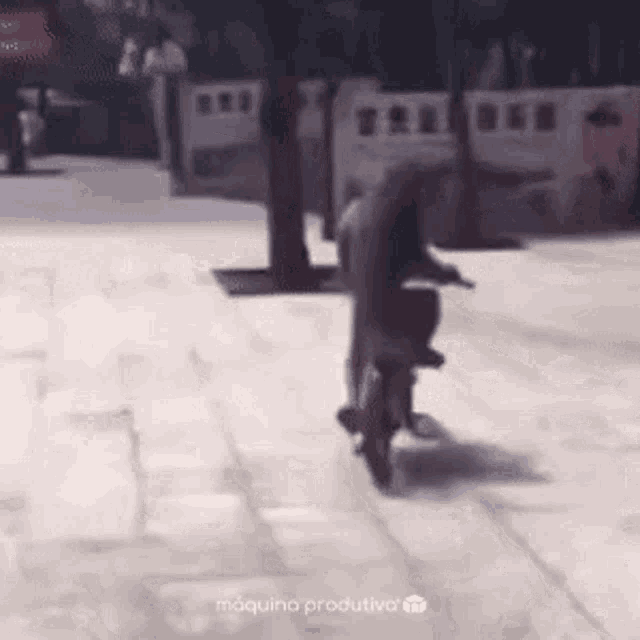 a person is riding a bike on a sidewalk in a park .