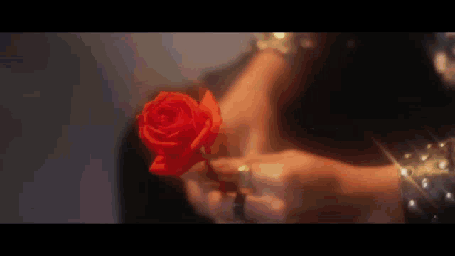 a close up of a woman holding a red rose