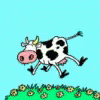 Cow Jump GIF - Cow Jump GIFs