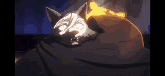 a wolf is laying on top of a person 's shoulder .