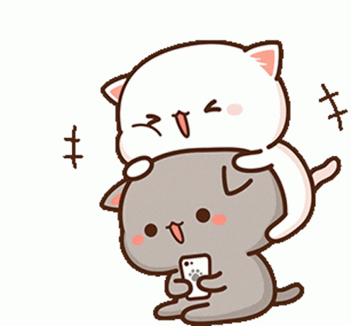 a white cat is sitting on top of a gray cat .
