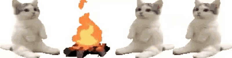 a group of cats are sitting around a fire .