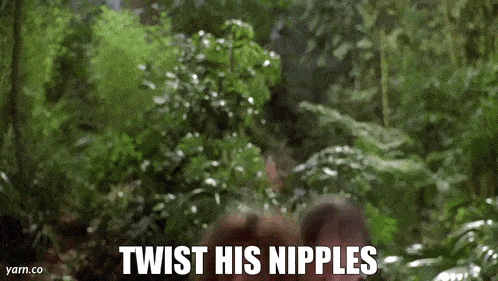 a person is standing in the woods with the words `` twist his nipples '' .