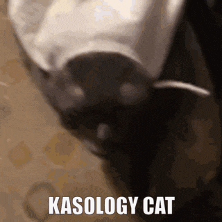 a close up of a cat 's face with the words kasology cat written below it