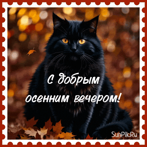 a black cat with yellow eyes sits in a pile of leaves on a postage stamp that says sunpik.ru