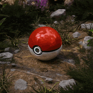 a red and white pokeball with a white circle in the middle