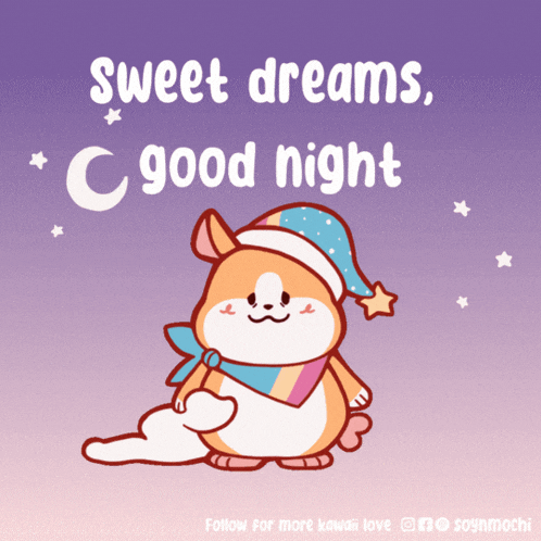 a cartoon of a hamster with the words sweet dreams good night