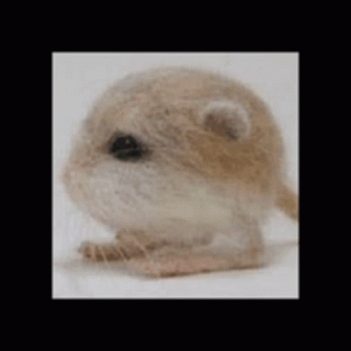 Mouse Meme GIF - Mouse Meme Cube GIFs