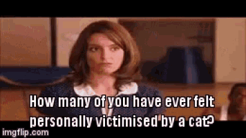 a woman is asking how many of you have ever felt personally victimised by a cat .