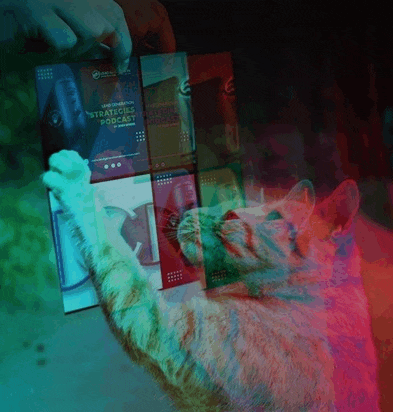 a cat is playing with a book titled strategic podcast