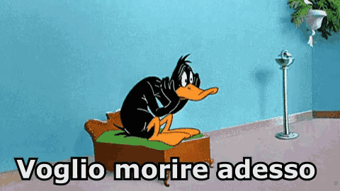 a cartoon of daffy duck sitting on a chair with the words " voglio morire adesso " above him