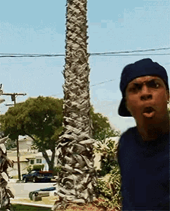 a man wearing a hat stands in front of a tall palm tree