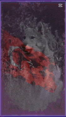 a painting of a wolf with the name damarin krali on the bottom