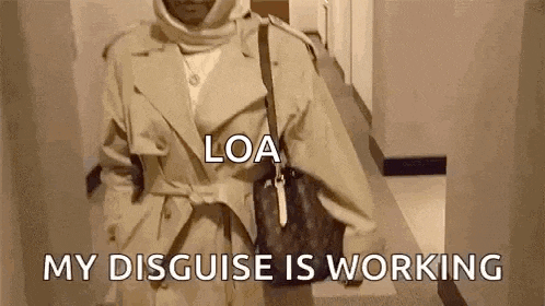 Disguised Like GIF