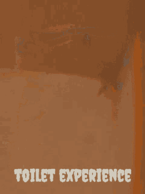 a brown background with the words toilet experience written in white letters