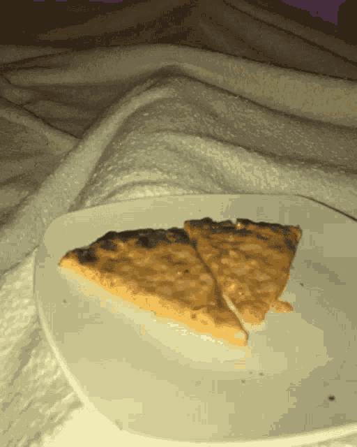 Cats Pizza GIF - Cats Cat Pizza GIFs