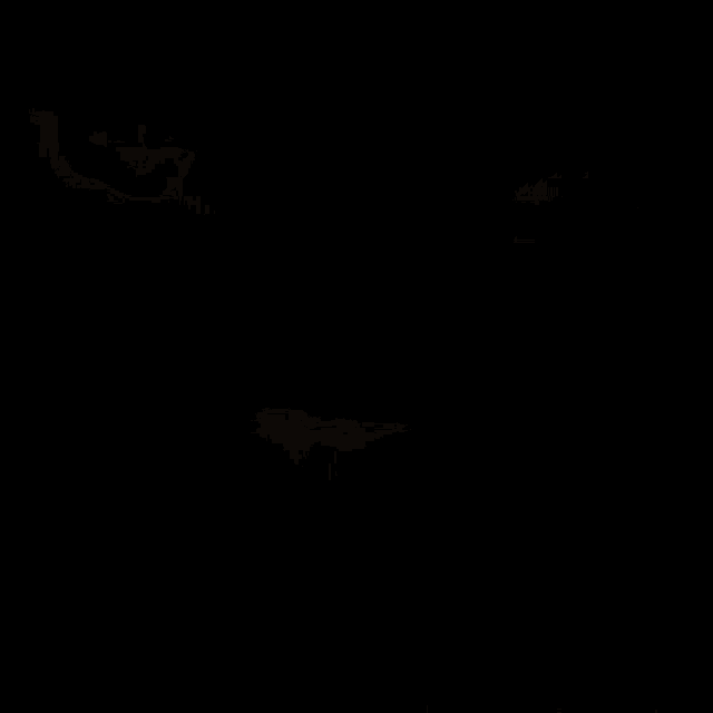 a close up of a cat 's face with a black background