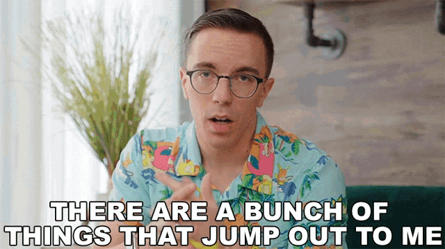 a man in a hawaiian shirt is saying there are a bunch of things that jump out to me
