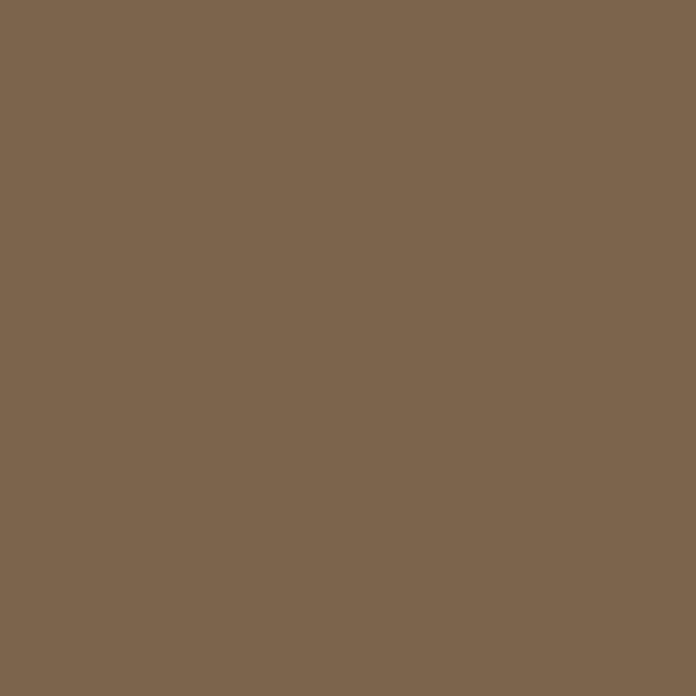 a close up of a plain brown background .